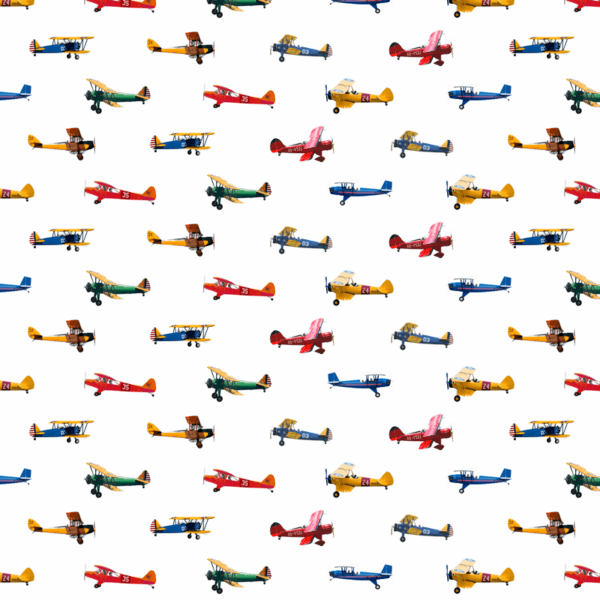 AIRPLANE 150 - Image 2