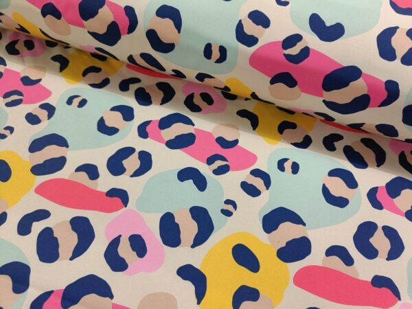 SOFTSHELL - FUNKY LEO