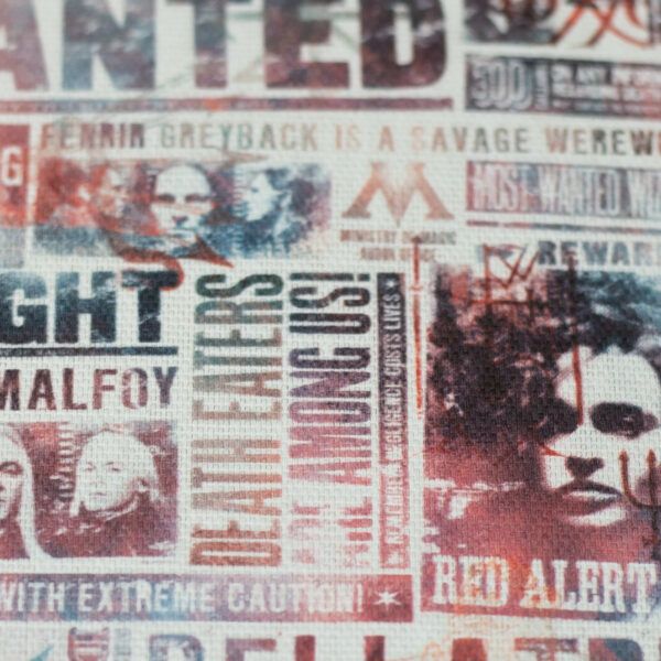 DEKO - HARRY POTTER, AVIS - Image 2