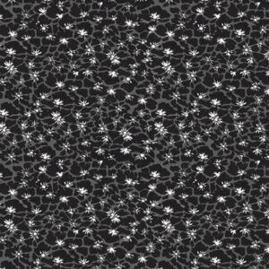 BOMULD -  BLANKET COAL