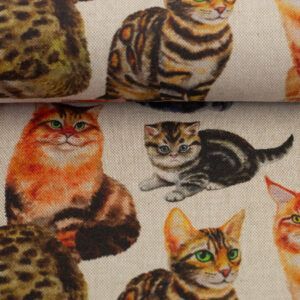 DEKO -  KATTE Á ORANGE